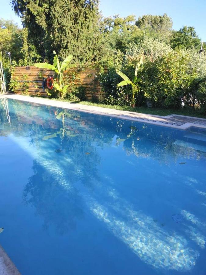 Villa Paradiso Del Garda Vista-Verde باردولينو المظهر الخارجي الصورة